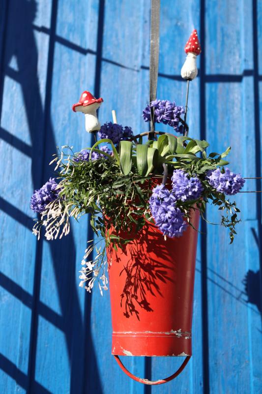 Paket: 10x VINTAGE Eyecatcher ZINKEIMER ROT Blumentopf Blecheimer Pflanztopf Pflanzgefäß